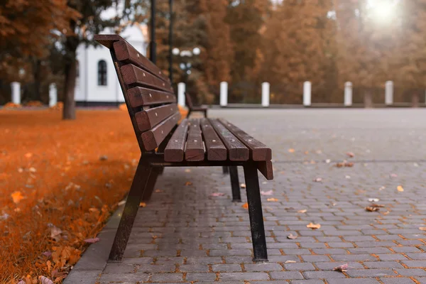 Fű, a fák, a padon, a sétány — Stock Fotó