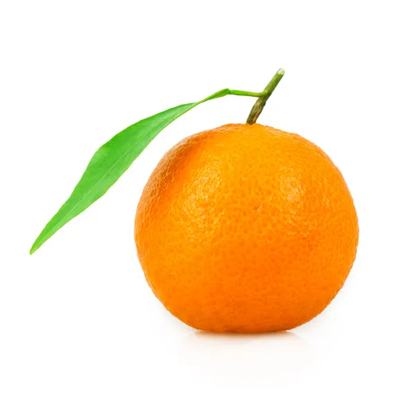 Mandarin gröna blad — Stockfoto