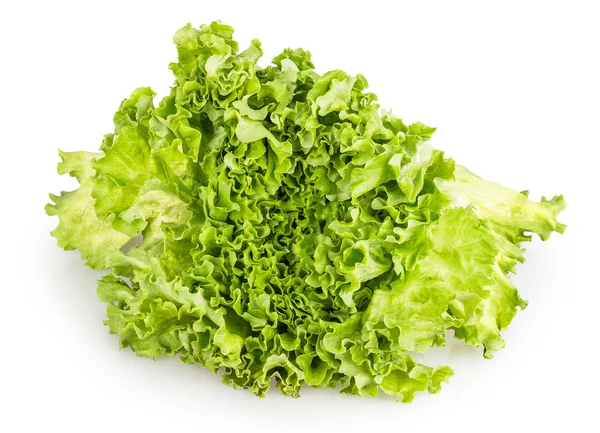 Salade — Stockfoto