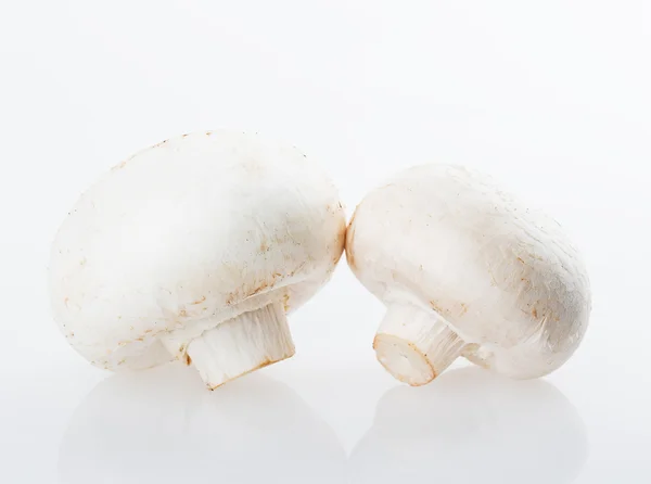 Champigny mushrooms — Stock Photo, Image