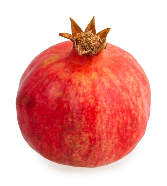 Red  pomegranate — Stock Photo, Image