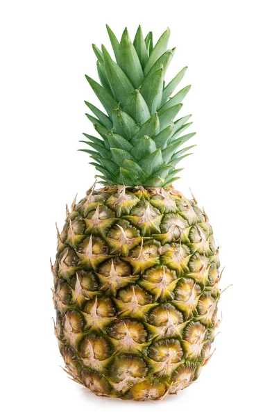 Einzelne Ananas — Stockfoto