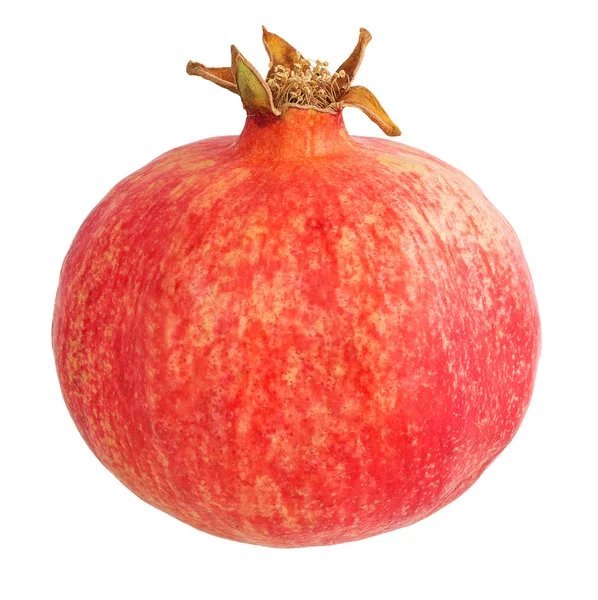 Red  pomegranate — Stock Photo, Image