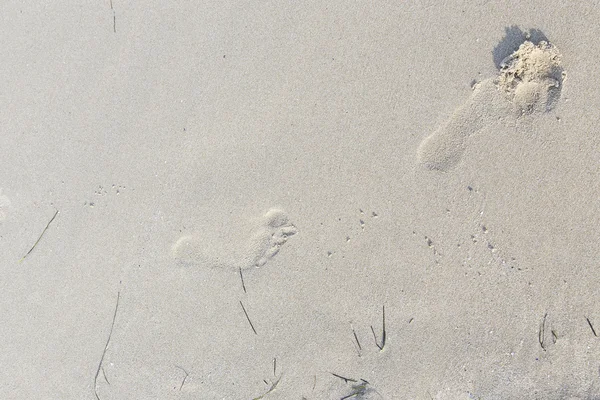 Footprints on  sand — Stock Photo, Image