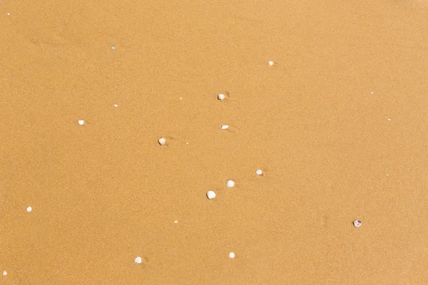 Zbliżenie na morze piasek — Zdjęcie stockowe