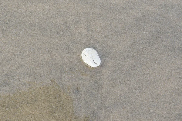 Sten på sand — Stockfoto