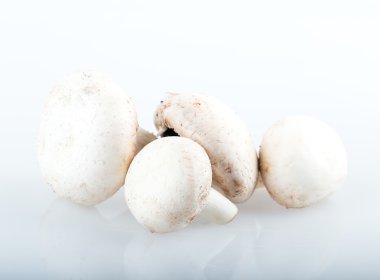 champignon mantarları