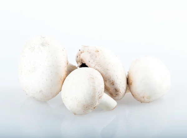 Cogumelos de champignon — Fotografia de Stock