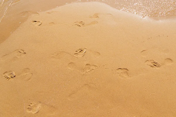 Pegadas na praia arenosa — Fotografia de Stock