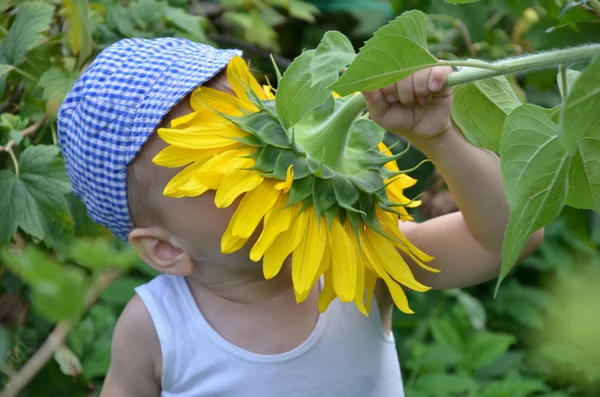 Lindo niño con girasol Imágenes De Stock Sin Royalties Gratis