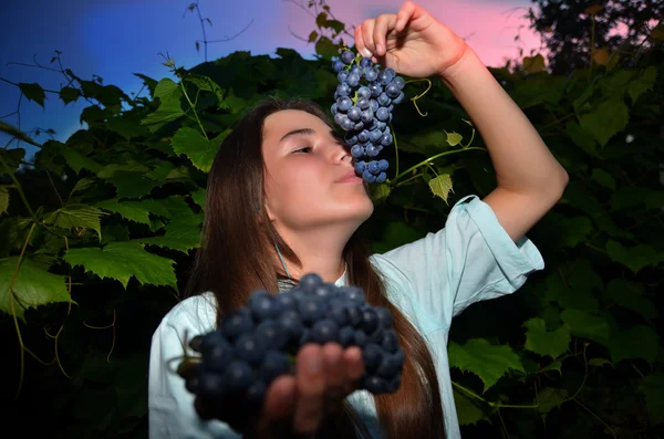 Poder secreto de uvas — Fotografia de Stock