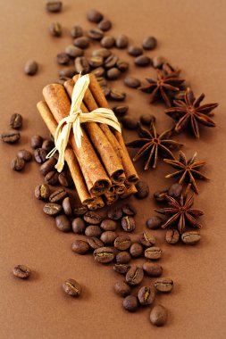 Kahve çekirdekleri ve baharatlar