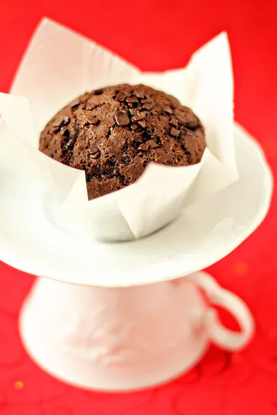 Muffin al cioccolato vegano su un piattino bianco — Foto Stock