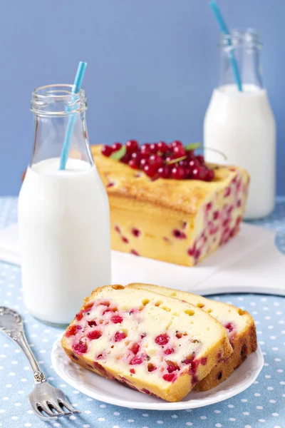 Cornmeal cake with red currant served with milk — Stock Photo, Image