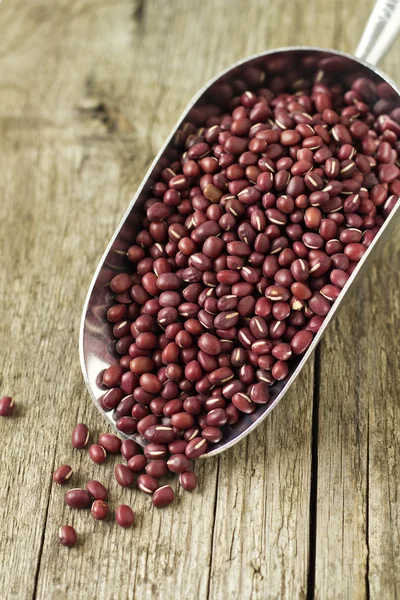 Raw red beans in a metal scoop — Stock Photo, Image