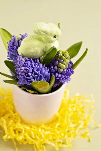 Coniglietto di Pasqua e giacinti — Foto Stock