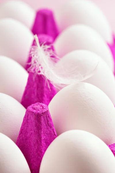 Uova bianche in un supporto viola con una piuma — Foto Stock