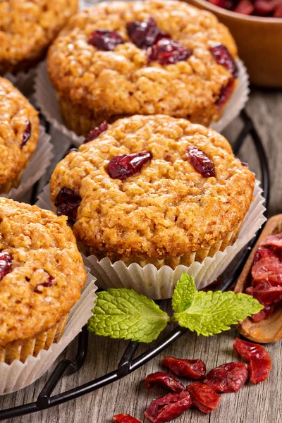 Muffins mit getrockneten Beeren — Stockfoto