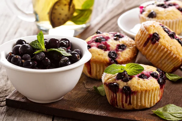 Muffins mit schwarzer Johannisbeere — Stockfoto