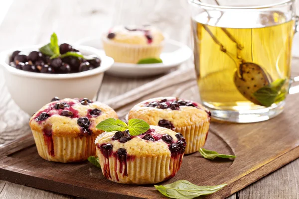 Muffins au cassis — Photo