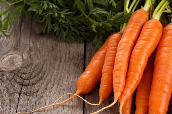 Fresh carrot with green leaves — Stock Photo, Image