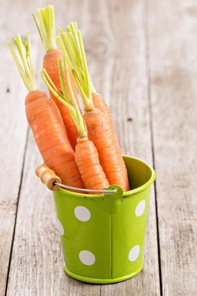 Fresh carrot with green leaves — Stock Photo, Image