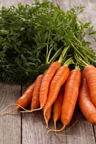 Fresh carrot with green leaves — Stock Photo, Image