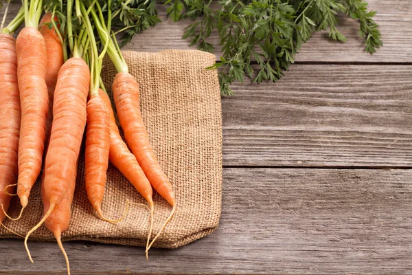 Fresh carrot with green leaves — Stock Photo, Image