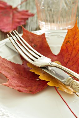 sonbahar Tablo ayarı