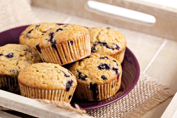 Muffins de banana de mirtilo saudáveis — Fotografia de Stock