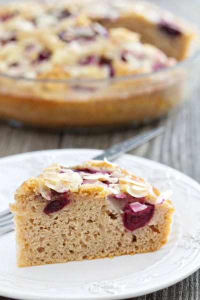 Piece of plum cake — Stock Photo, Image