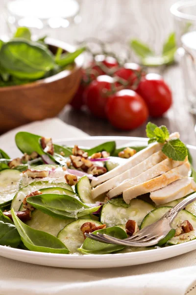 Espinafre, abobrinha e salada de frango — Fotografia de Stock