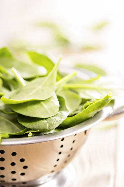 Fresh spinach leaves in a colander — Stock Photo, Image