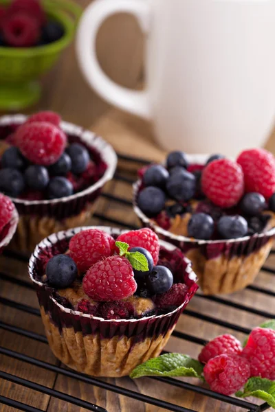 Gâteau aux baies d'avoine — Photo