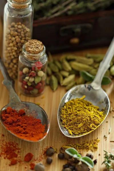 Variety of spices and herb on a wooden board — Stock Photo, Image