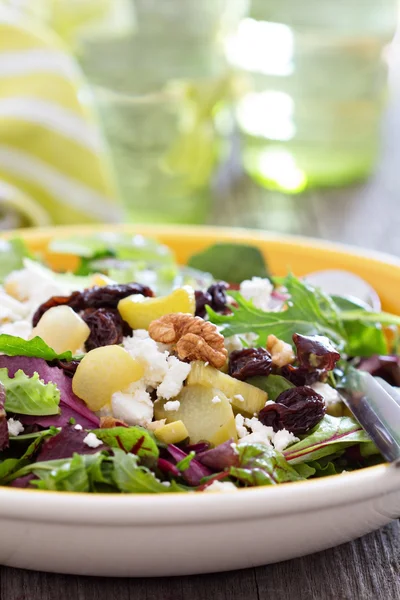 Salada com ruibarbo assado — Fotografia de Stock