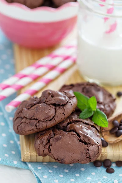 Biscuits au chocolat i un bol — Photo