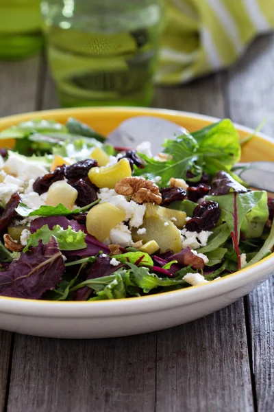 Sallad med bakad rabarber — Stockfoto