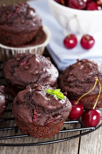 Muffins σοκολάτας με κεράσι — Φωτογραφία Αρχείου