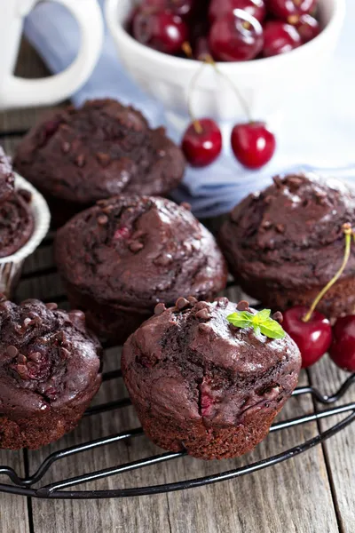 Muffin al cioccolato con ciliegia — Foto Stock