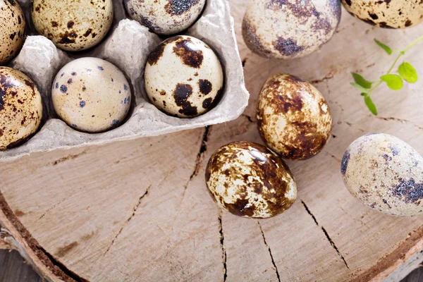 Πρώτες ορτύκια αυγά σε ξύλινα φόντο — Φωτογραφία Αρχείου