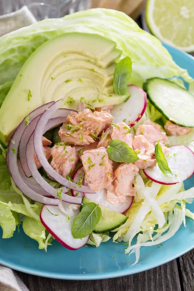 Salade met Gepocheerde Zalm en groenten — Stockfoto