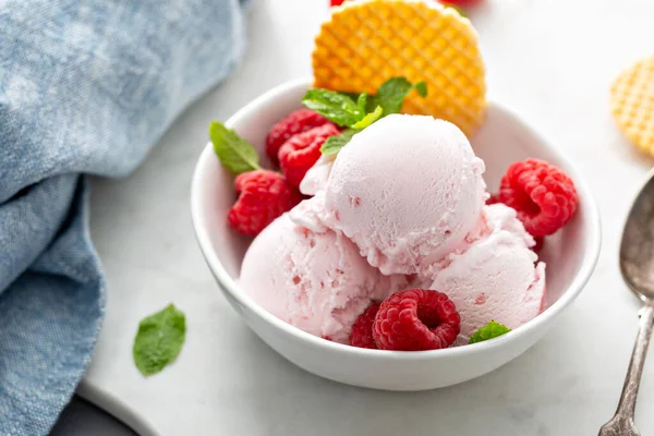 Malinová zmrzlina v misce s čerstvými bobulemi — Stock fotografie