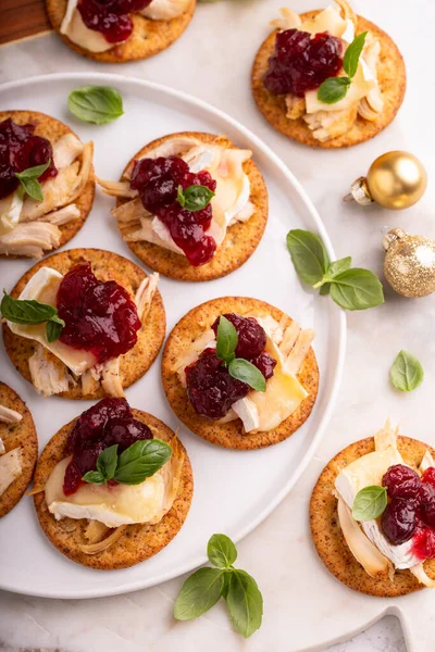 Party appetizers with turkey, brie and cranberry sauce — Stock Photo, Image