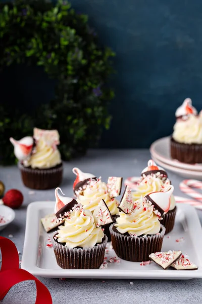 Casca de hortelã e cupcakes de chocolate para o Natal — Fotografia de Stock