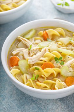 Geleneksel erişteli tavuk çorbası.