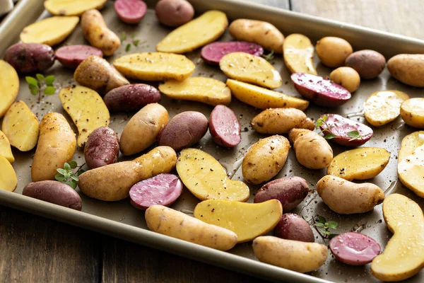 Gule og lilla fingerling kartofler på en bageplade - Stock-foto