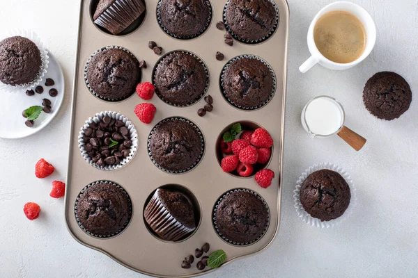 Шоколадные кексы в кастрюле с малиной — стоковое фото