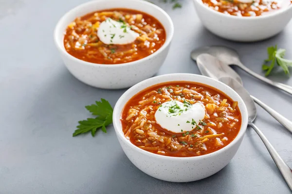 Kapusta i zupa pomidorowa, polski lub ukraiński przepis — Zdjęcie stockowe