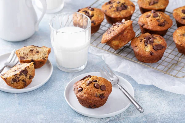 Banana Chocolate Chip Muffins Auf Einem Teller Frühstück Oder Snack — Stockfoto